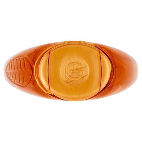 Garnier Ultra Dolce Shampoo Meraviglioso all'olio d'argan e di camelia per capelli secchi, 300 ml